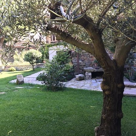 Number 10 Locanda B&B Belvedere Langhe Bagian luar foto
