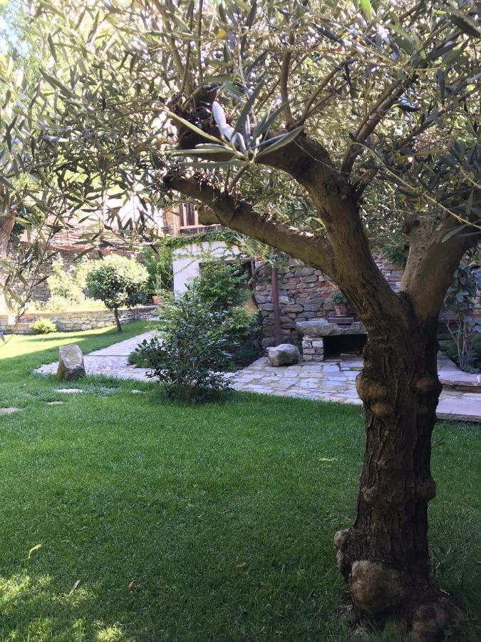 Number 10 Locanda B&B Belvedere Langhe Bagian luar foto